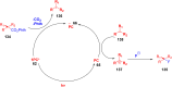 Fig. 65