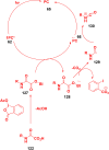 Fig. 62