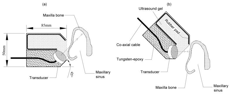 Fig. 9