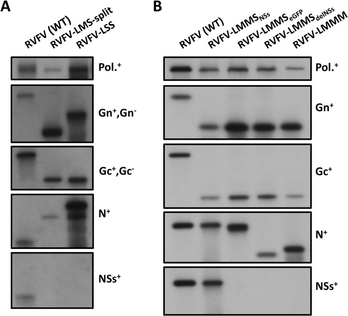 FIG 3