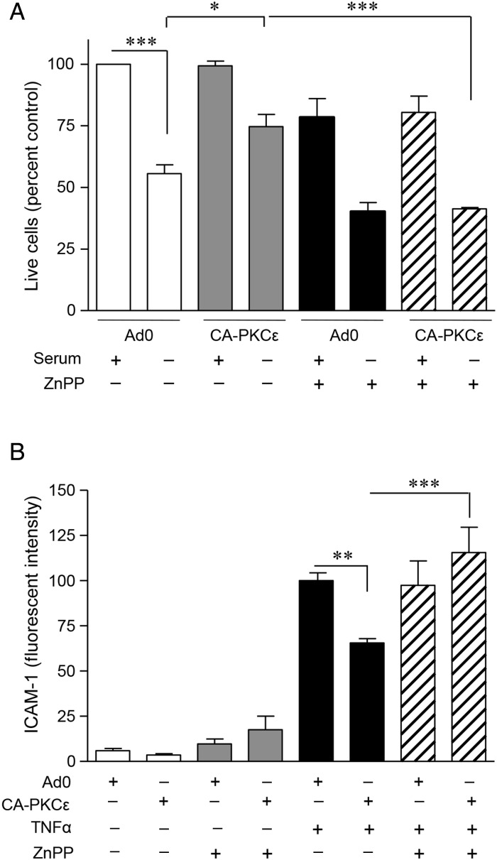 Figure 6