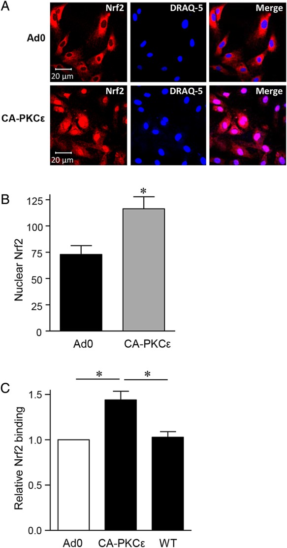 Figure 4