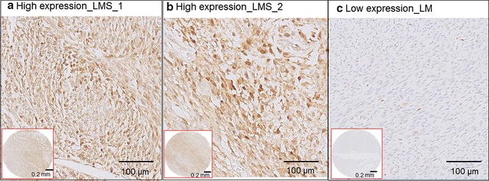 Fig. 2