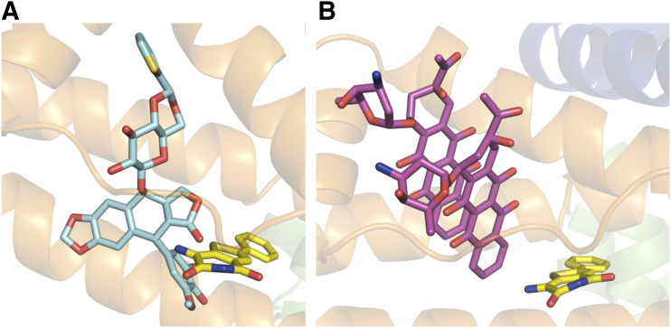 Fig. 4.