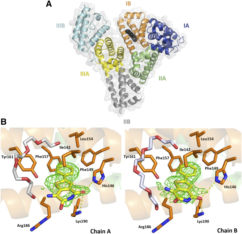 Fig. 3.