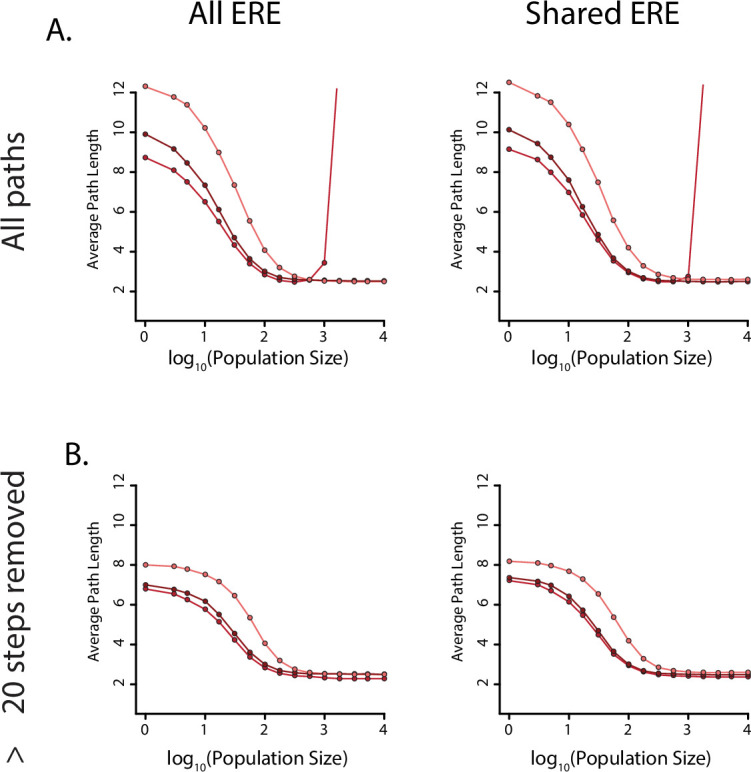 Figure 5—figure supplement 3.