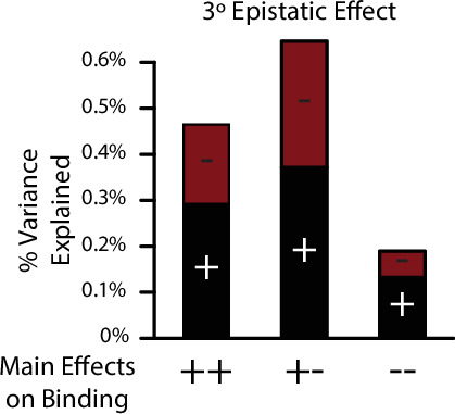 Figure 3—figure supplement 4.