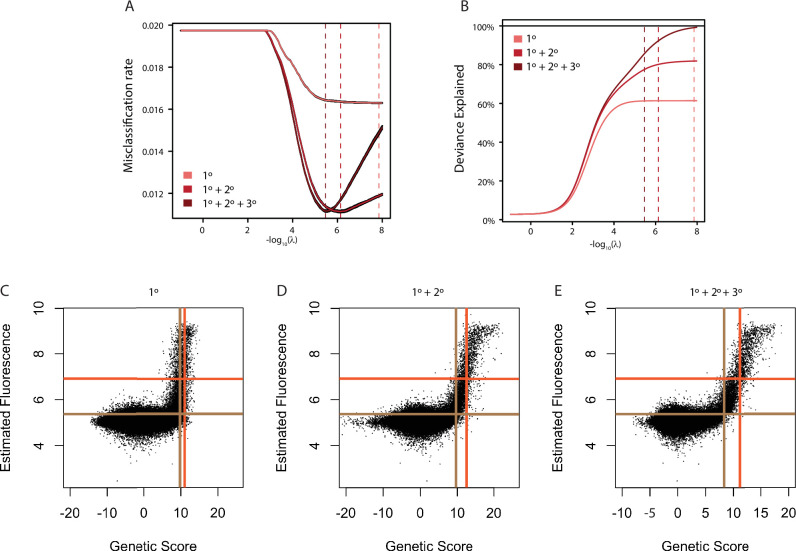 Figure 1—figure supplement 1.