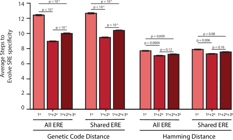 Figure 5—figure supplement 2.