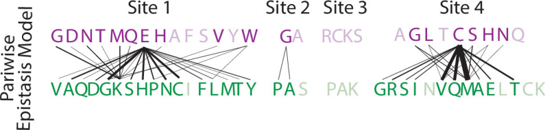 Figure 4—figure supplement 2.