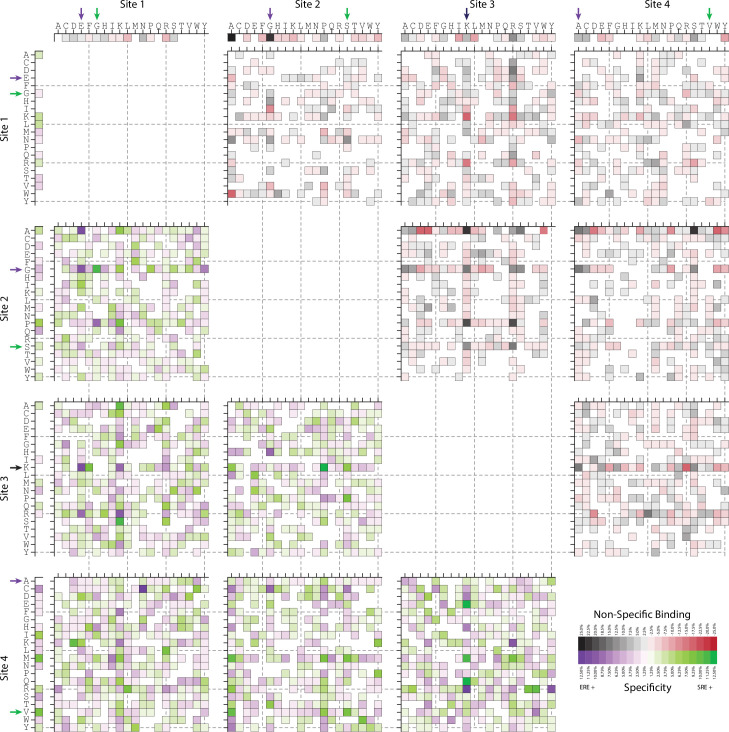 Figure 2—figure supplement 4.