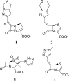 FIG. 1.