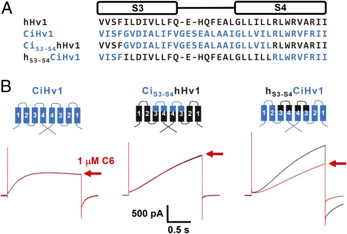 Fig. 4.