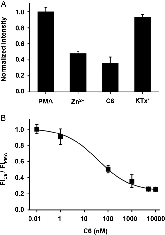 Fig. 6.