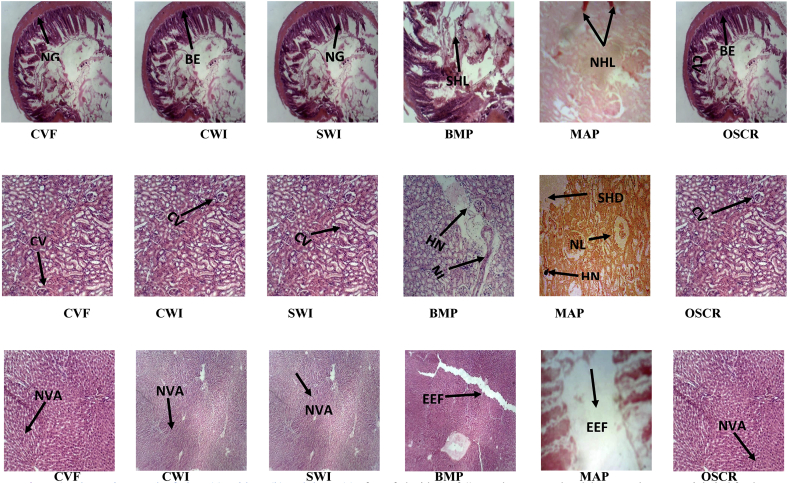 Figure 1