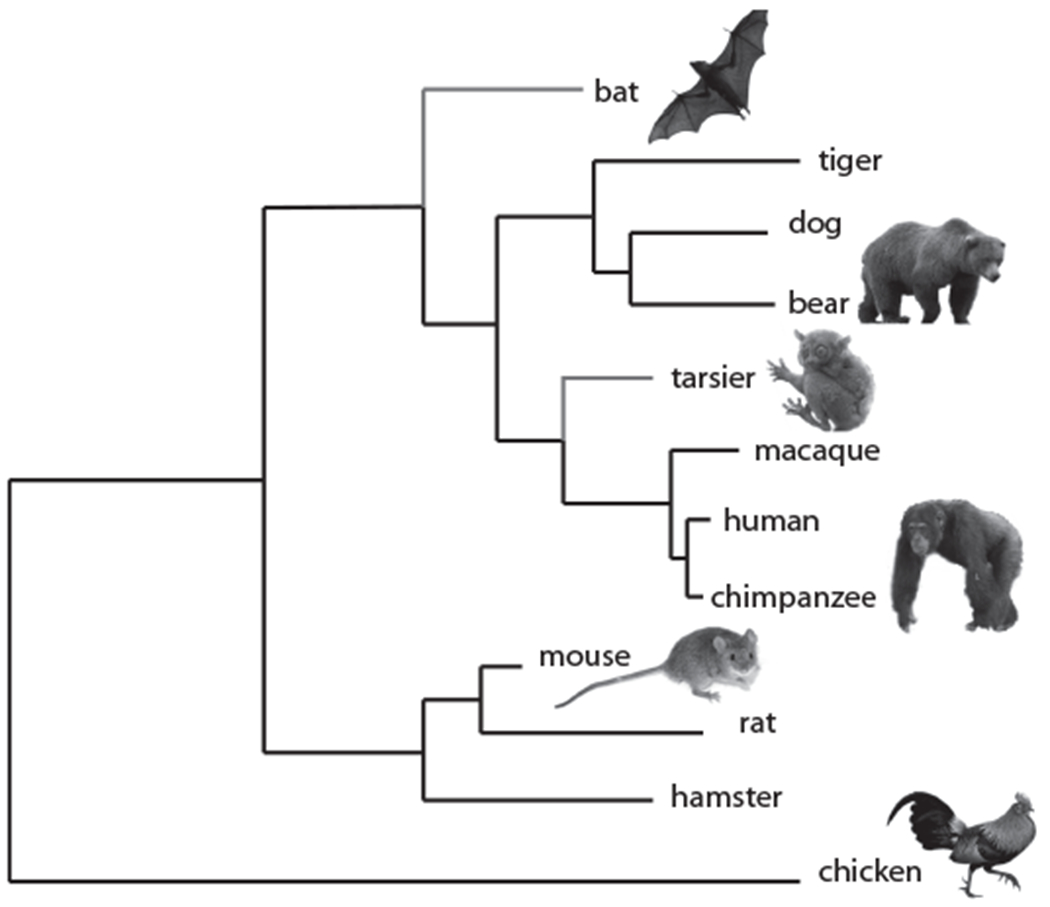 Figure 2.