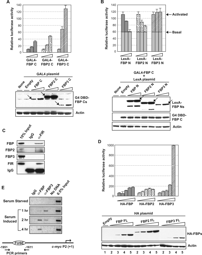 FIG. 3.