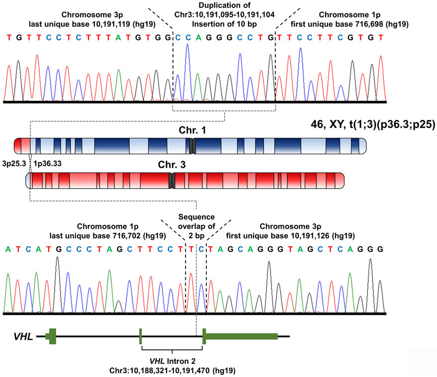 Figure 2: