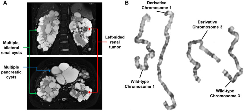 Figure 1: