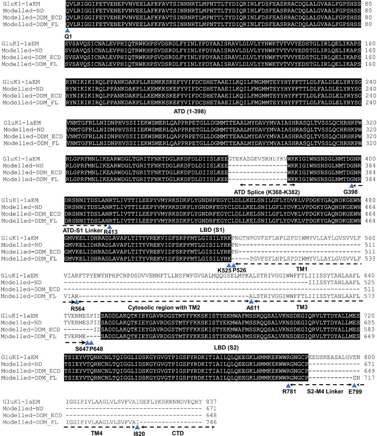 Figure 6—figure supplement 6.