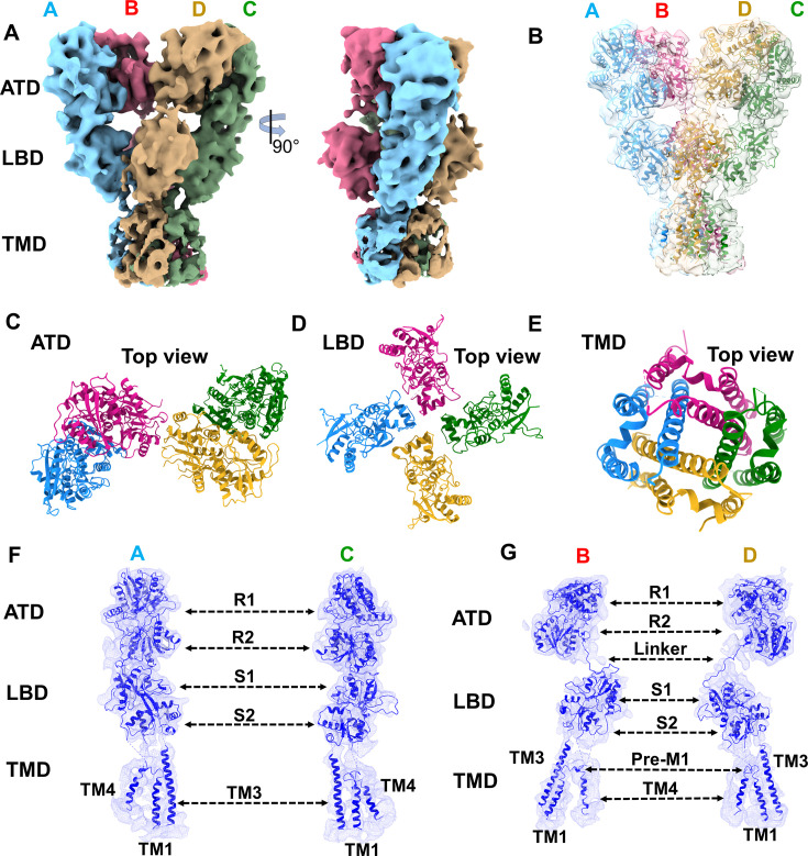 Figure 6—figure supplement 7.