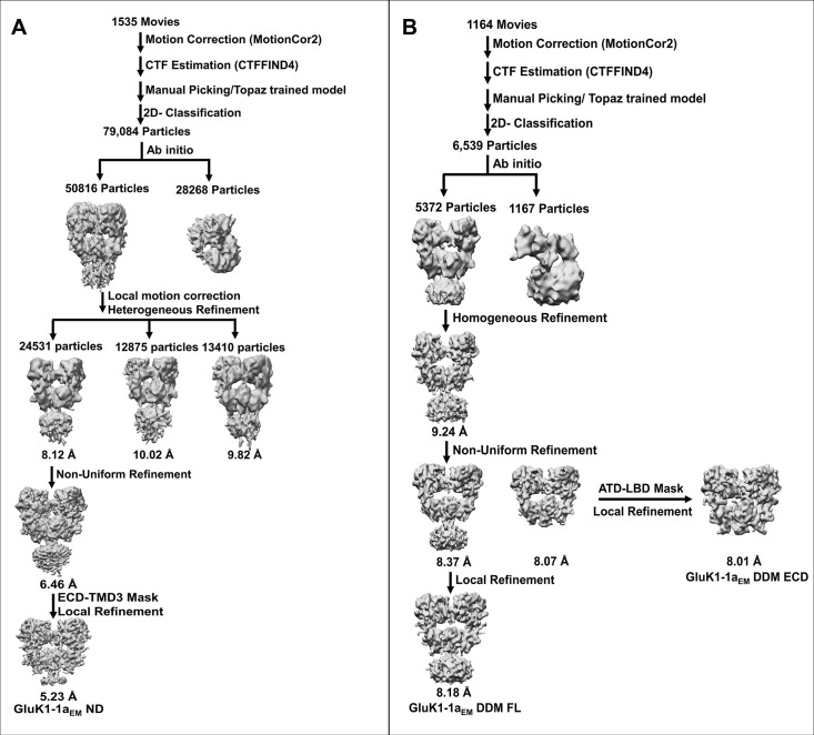 Figure 6—figure supplement 4.