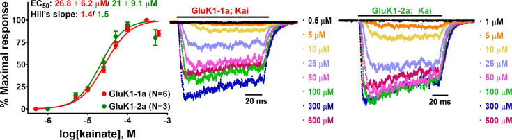 Figure 2—figure supplement 1.