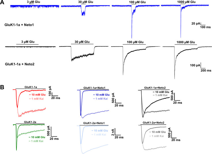 Figure 3—figure supplement 1.