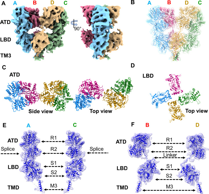 Figure 6.