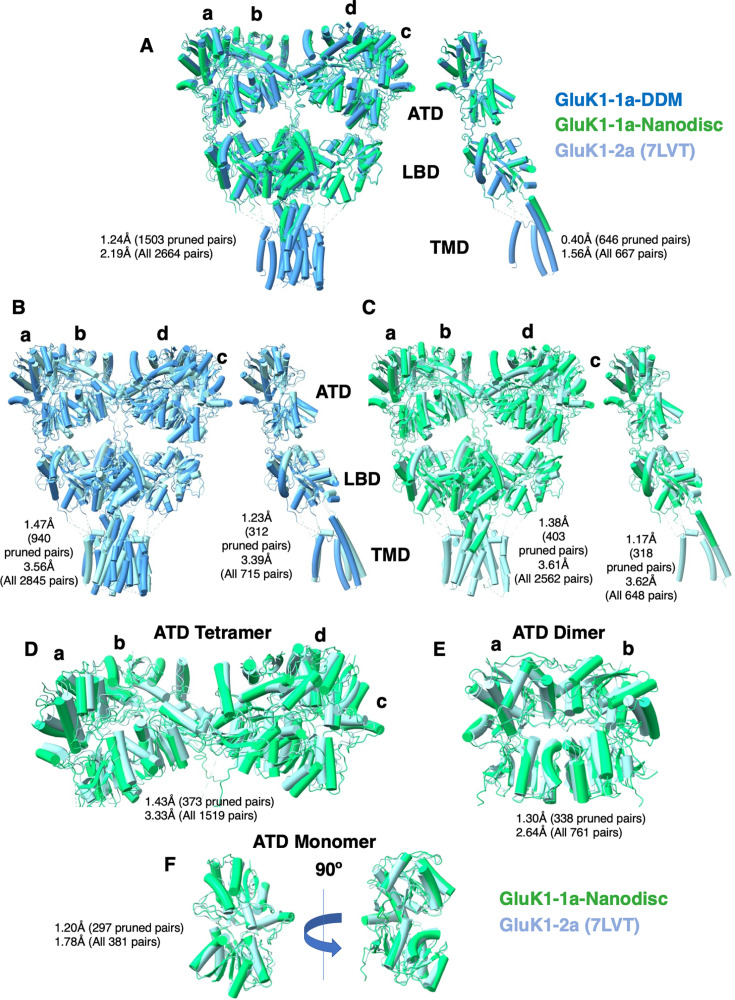 Figure 6—figure supplement 9.