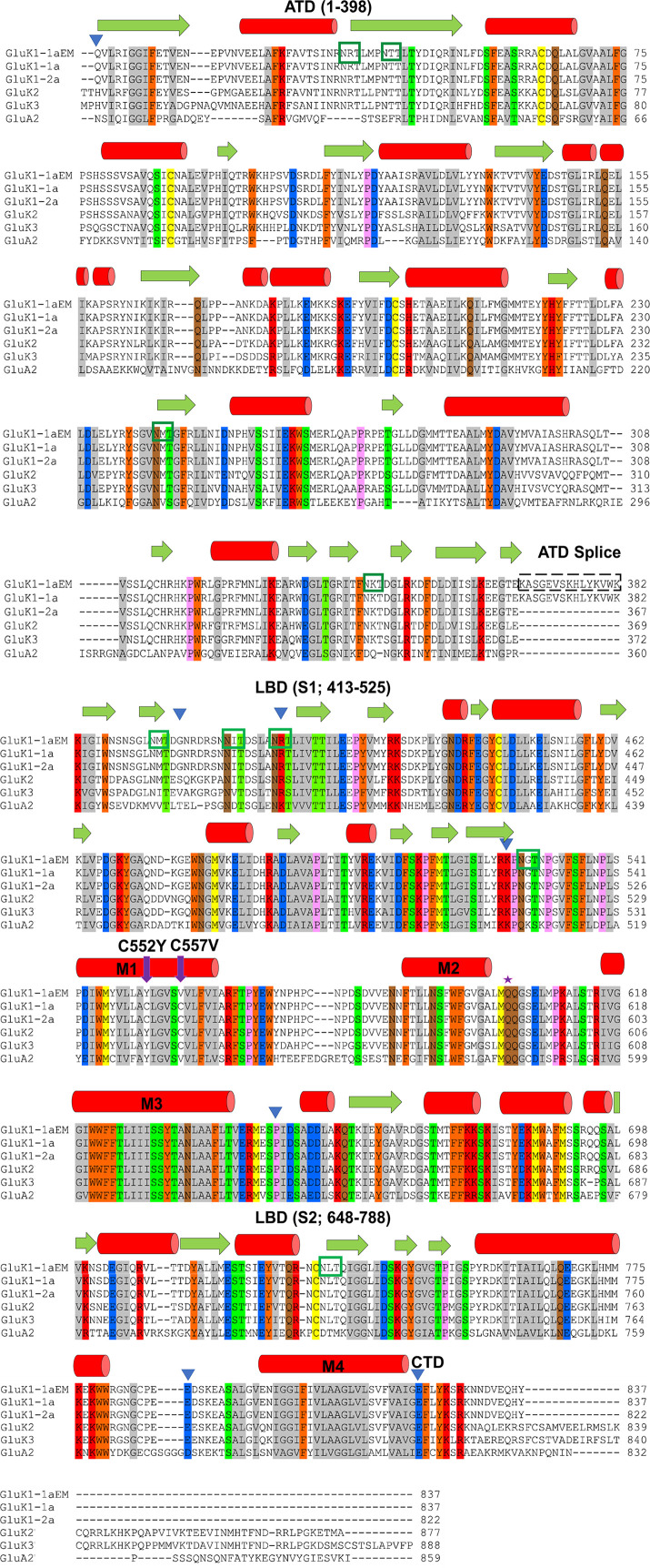 Figure 6—figure supplement 1.