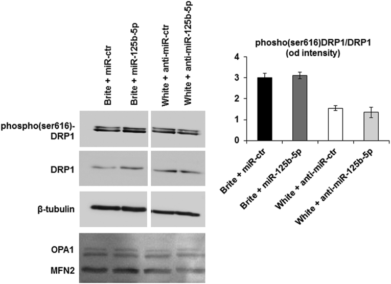 graphic file with name figs3.jpg