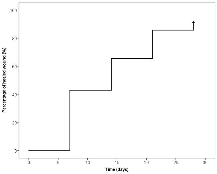 Chart 4