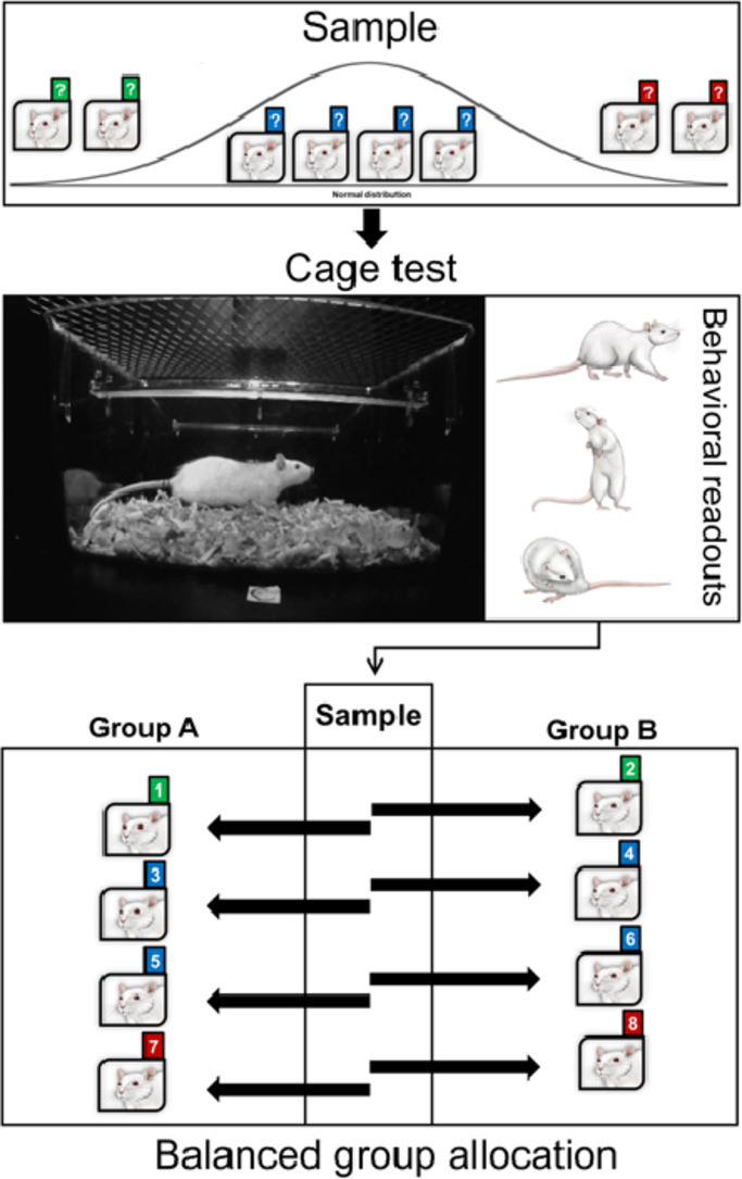 Image, graphical abstract