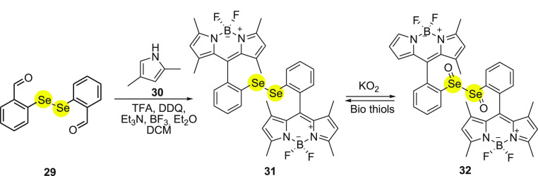 Scheme 12