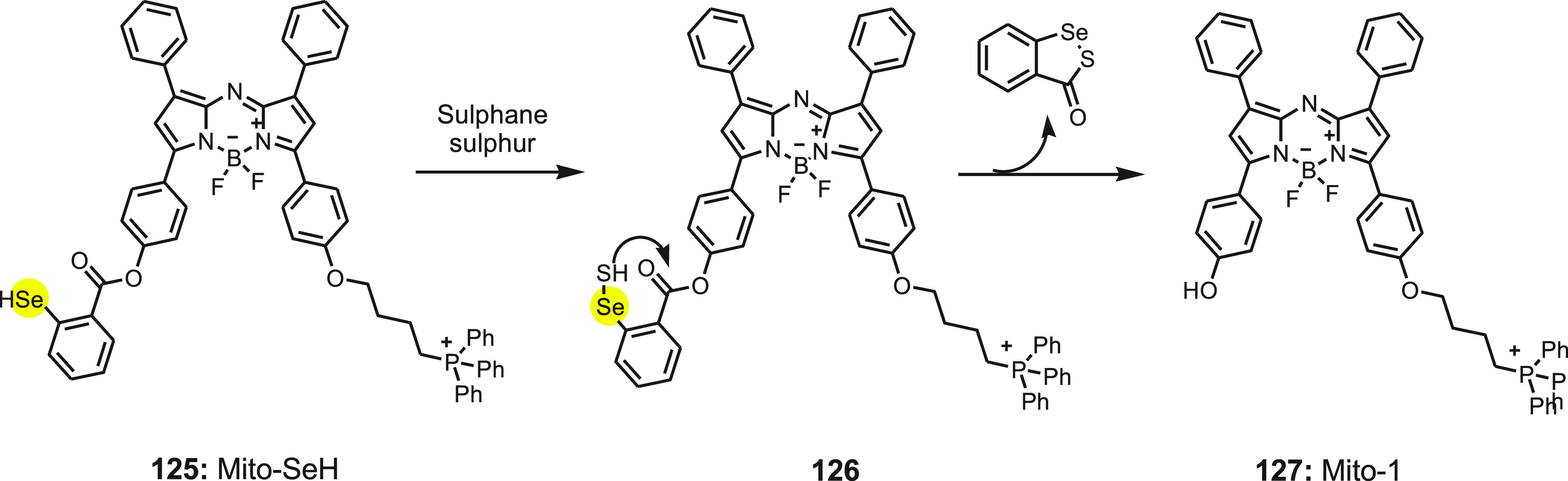 Scheme 46