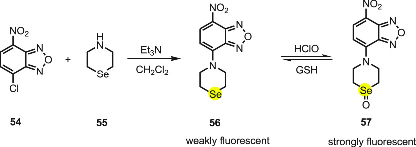 Scheme 22