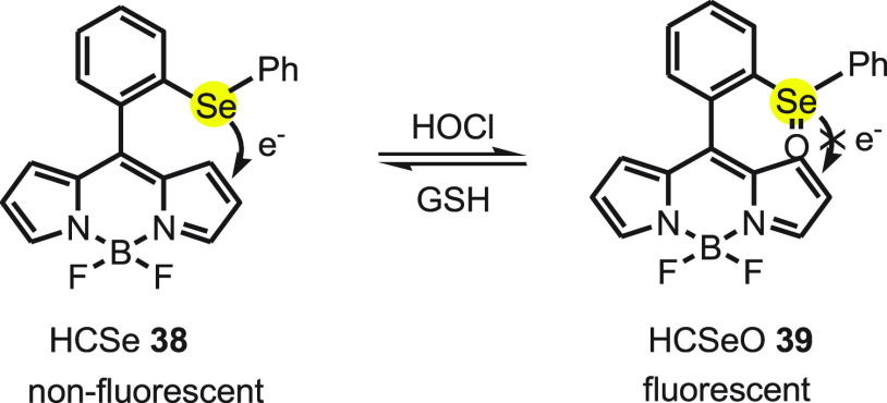 Scheme 18