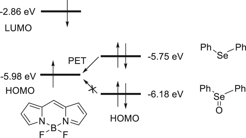 Scheme 19