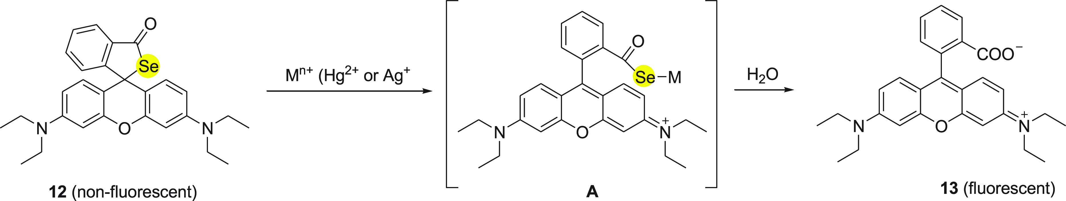 Scheme 6