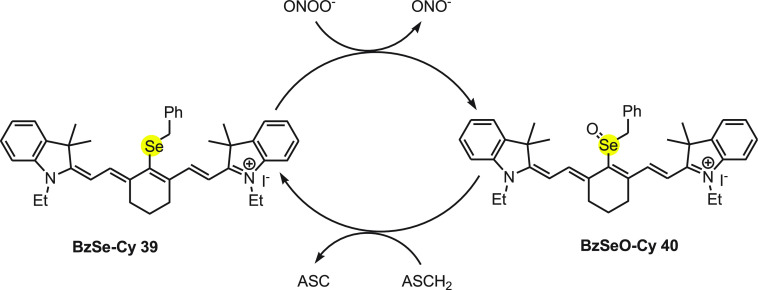 Scheme 14