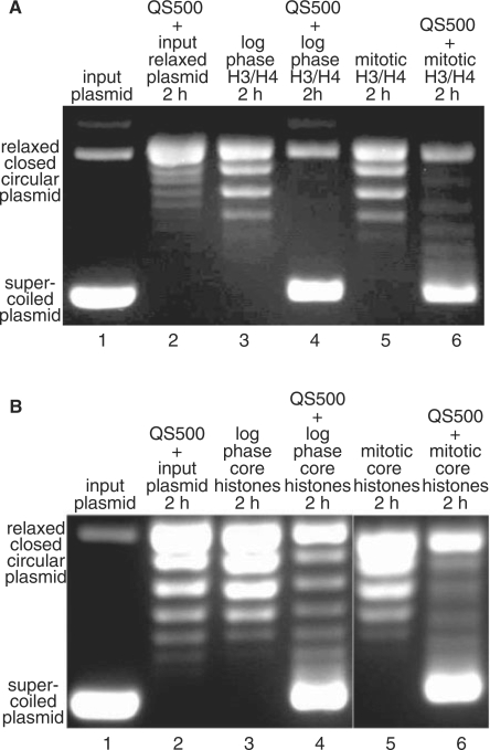 Figure 7.