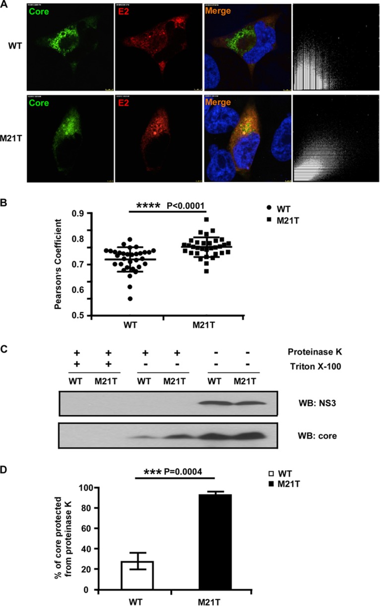 FIG 6