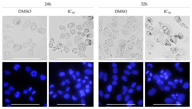 Figure 15