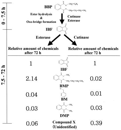 FIG. 5.