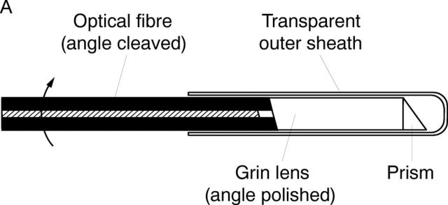 Figure 2  