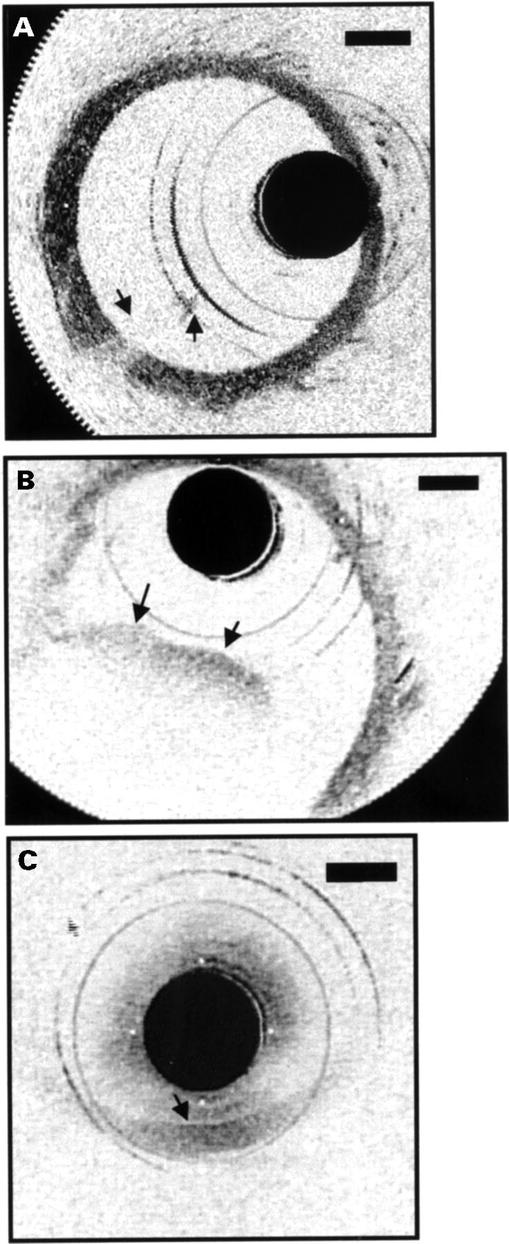 Figure 3  