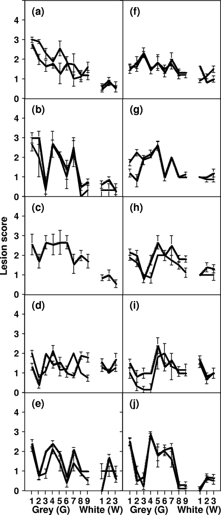 FIG. 2.