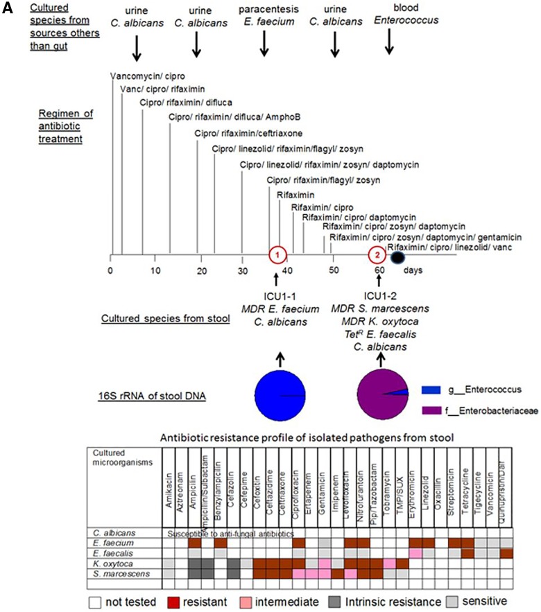 FIG 3 