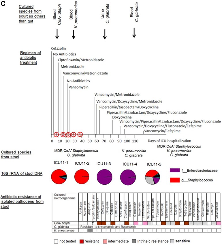 FIG 3 